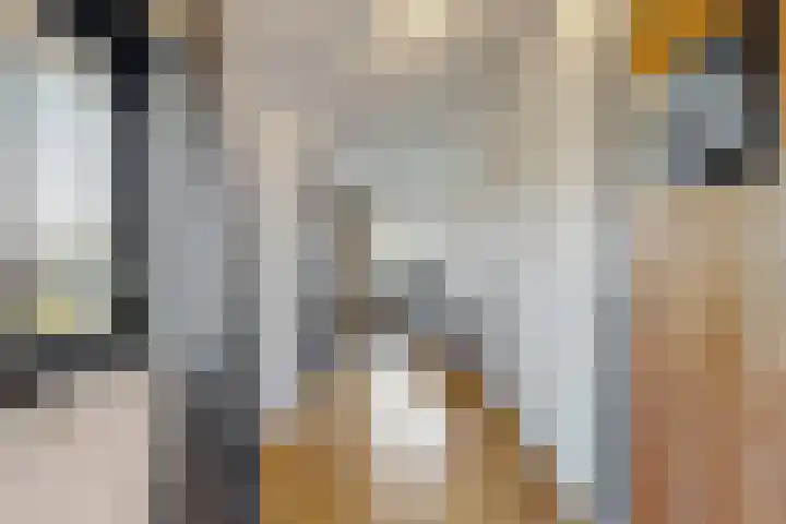 Zuiderdracht 40 Oosterblokker thumbnail 45
