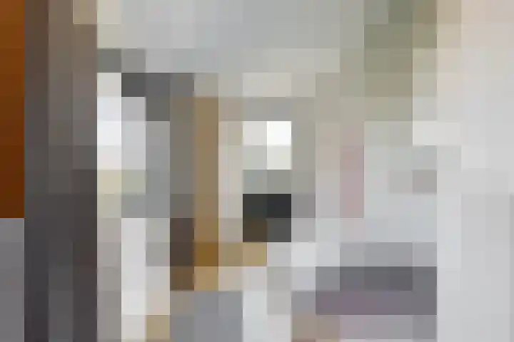 Zuiderdracht 40 Oosterblokker thumbnail 46