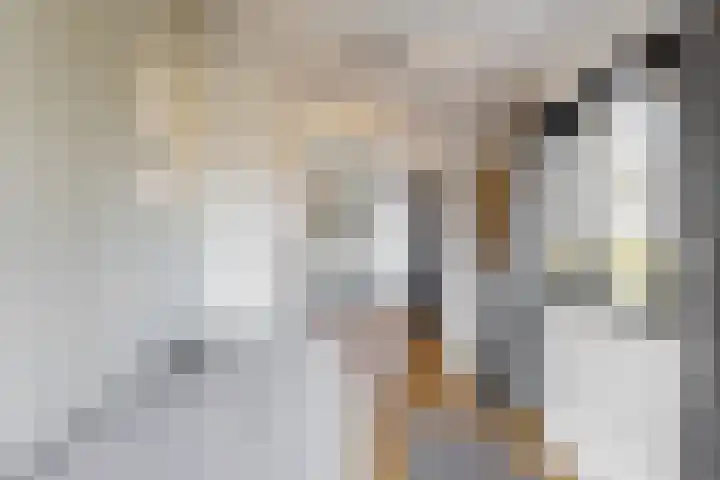 Zuiderdracht 40 Oosterblokker thumbnail 47
