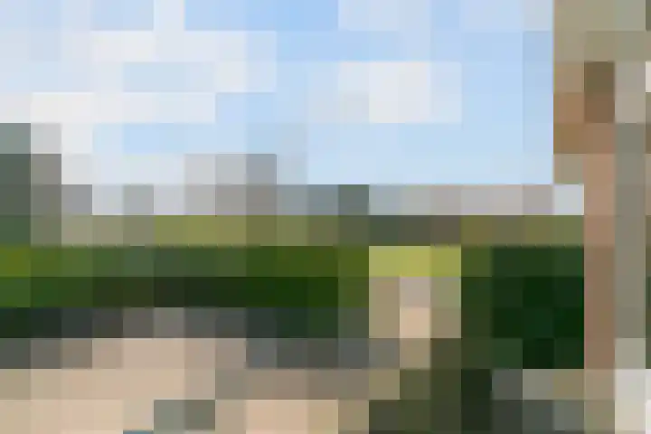 Zuiderdracht 40 Oosterblokker thumbnail 51