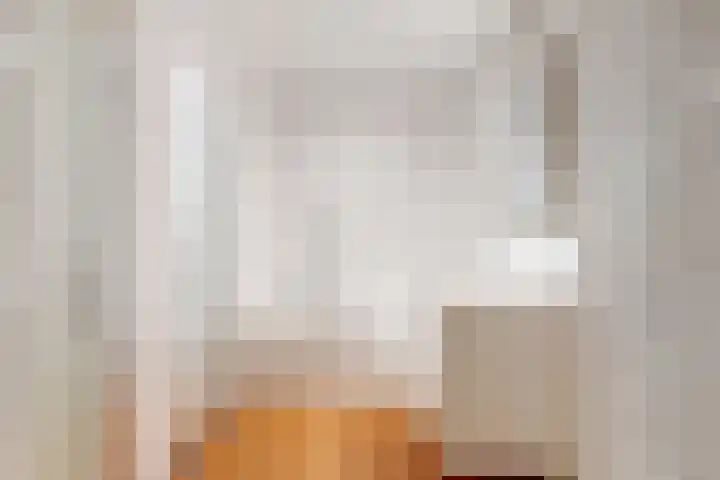 Zuiderdracht 40 Oosterblokker thumbnail 55