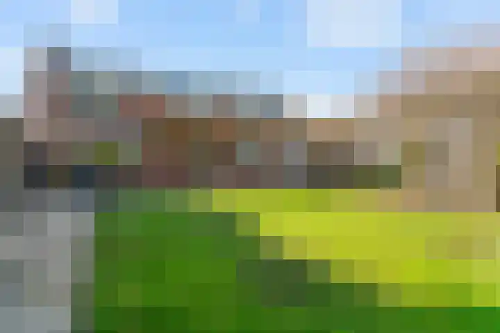 Zuiderdracht 40 Oosterblokker thumbnail 61