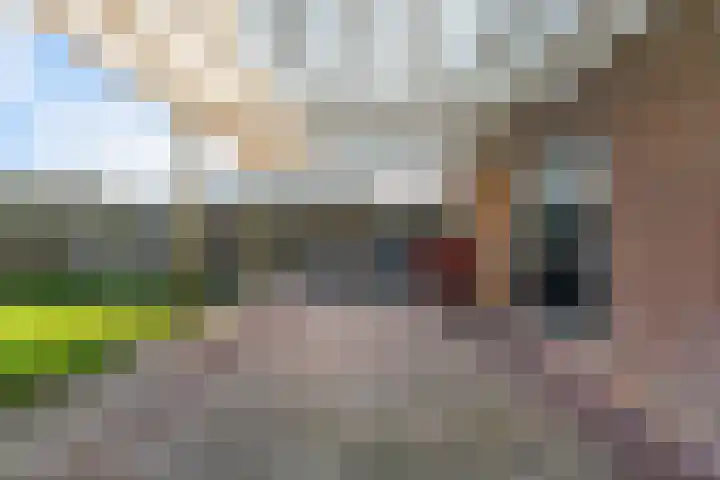 Zuiderdracht 40 Oosterblokker thumbnail 62