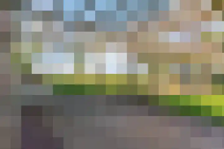 Zuiderdracht 40 Oosterblokker thumbnail 63