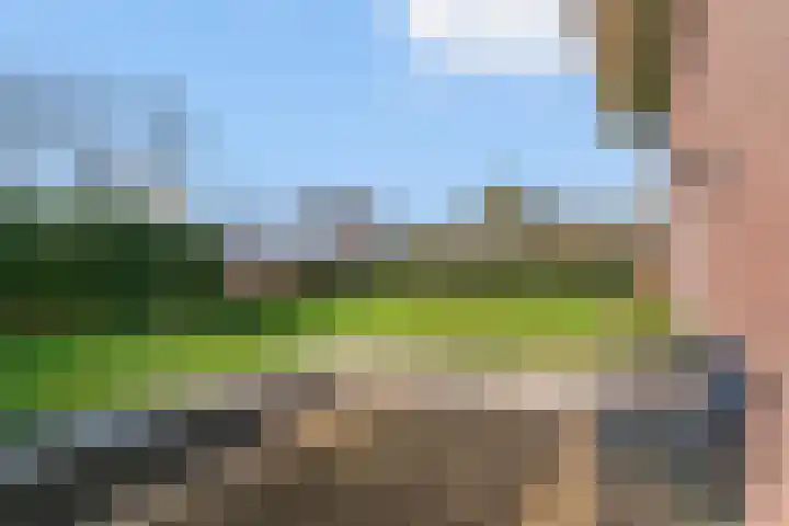 Zuiderdracht 40 Oosterblokker thumbnail 65