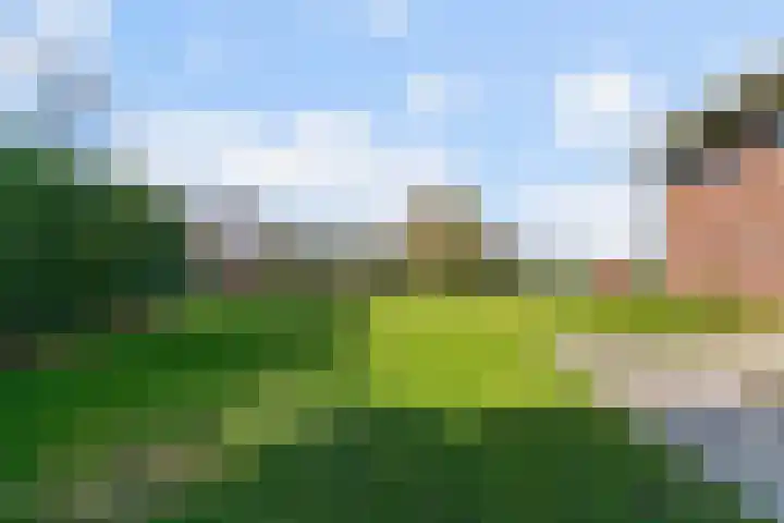 Zuiderdracht 40 Oosterblokker thumbnail 66