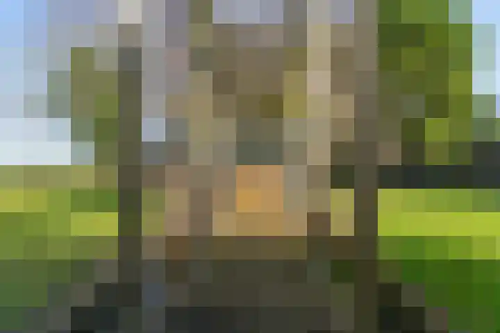Zuiderdracht 40 Oosterblokker thumbnail 69