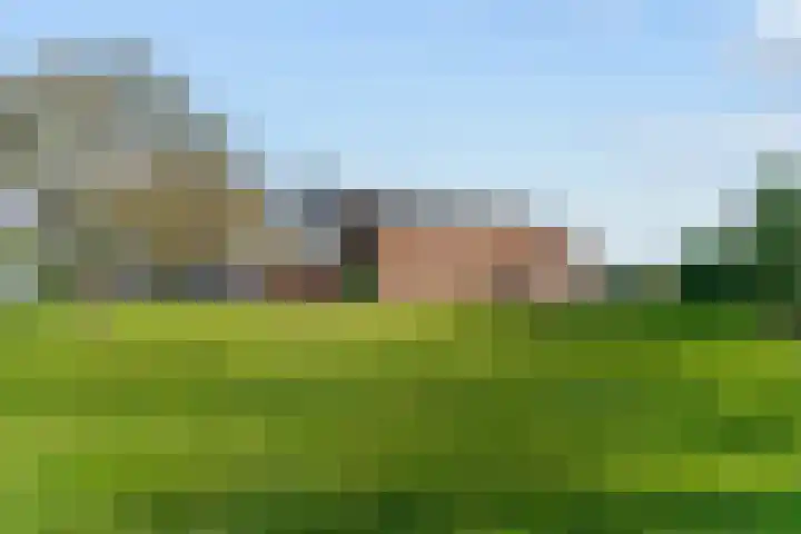 Zuiderdracht 40 Oosterblokker thumbnail 71