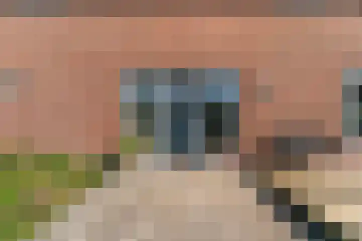 Zuiderdracht 40 Oosterblokker thumbnail 80