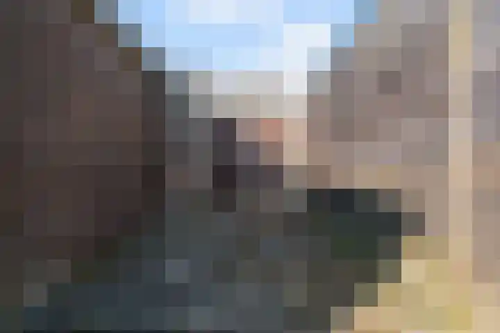 Zuiderdracht 40 Oosterblokker thumbnail 82