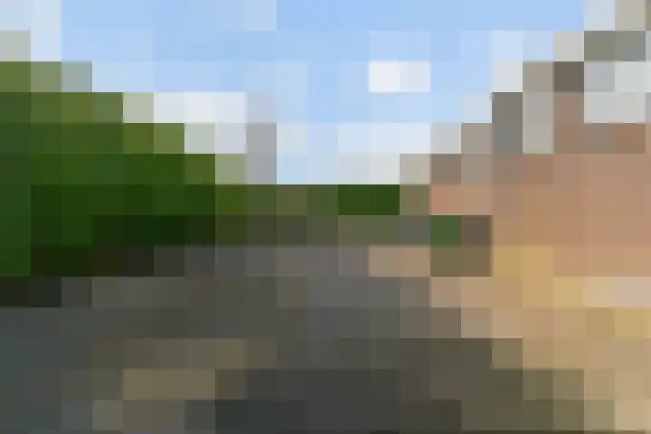 Zuiderdracht 40 Oosterblokker thumbnail 83