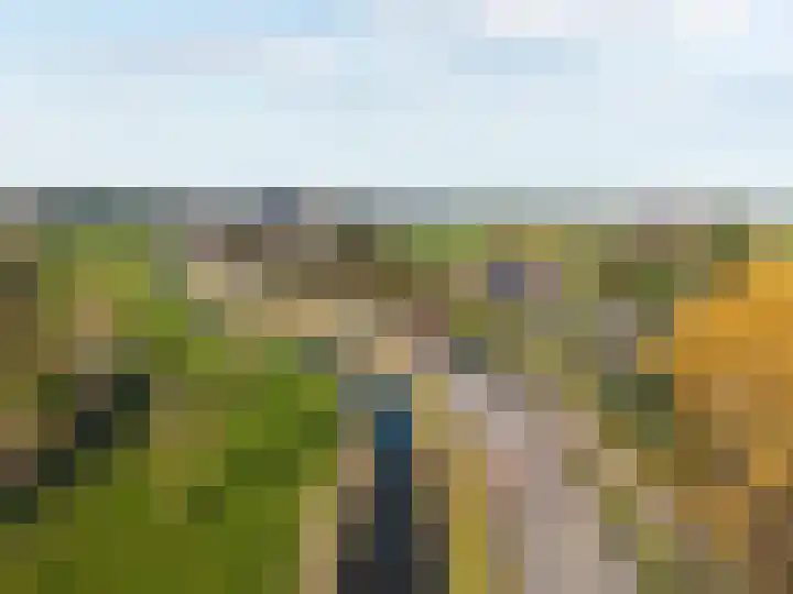 Zuiderdracht 40 Oosterblokker thumbnail 86