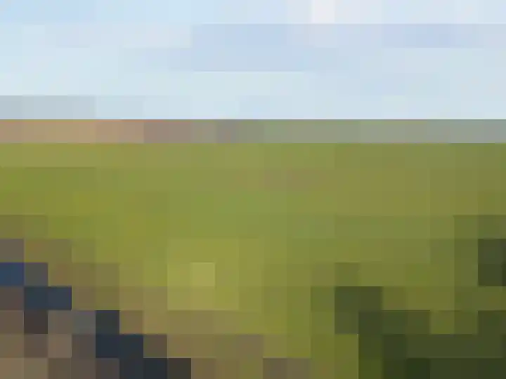 Zuiderdracht 40 Oosterblokker thumbnail 88