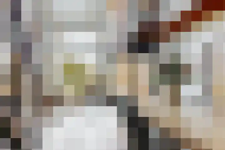Zuiderdracht 40 Oosterblokker thumbnail 9