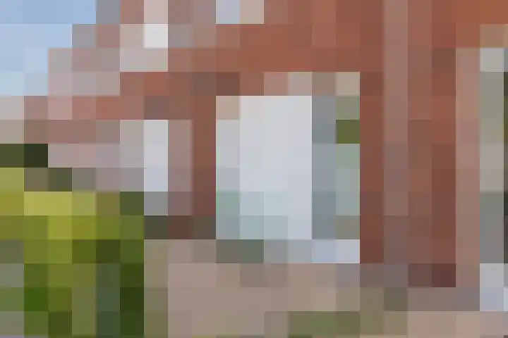 Zuiderdreef 51 Bergen op Zoom thumbnail 6