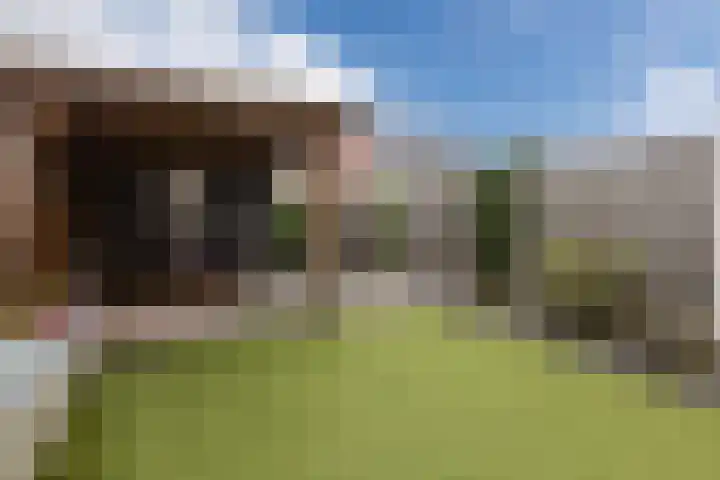 Zuiderdreef 9 Bergen op Zoom thumbnail 38