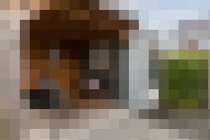 Zuiderdreef 9 Bergen op Zoom thumbnail 39