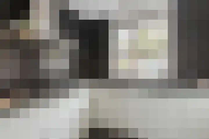 Zuiderdreef 9 Bergen op Zoom thumbnail 4