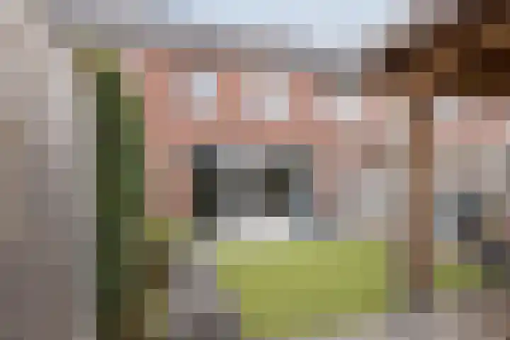 Zuiderdreef 9 Bergen op Zoom thumbnail 41