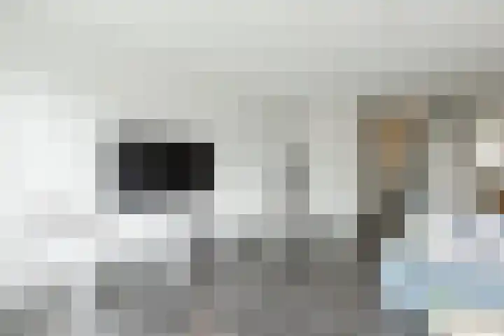 Zuiderdreef 9 Bergen op Zoom thumbnail 8