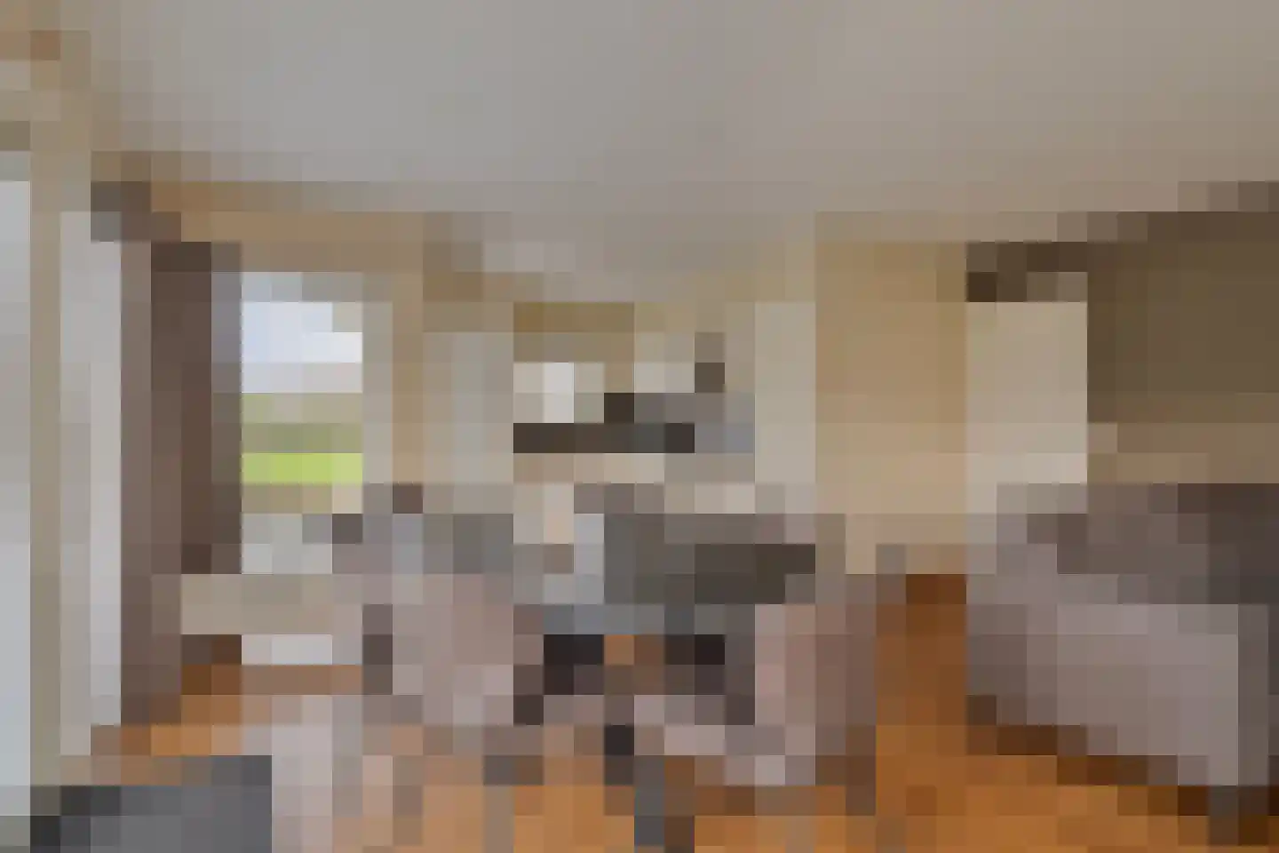 Zuiderdwarsdijk 32 Gasselternijveen thumbnail 19