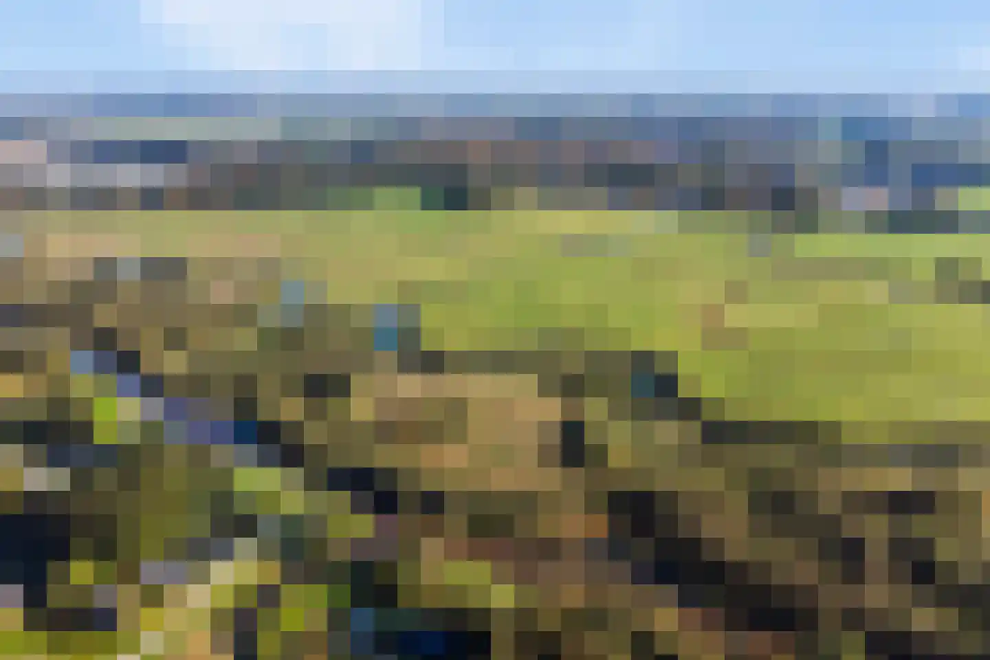 Zuiderdwarsdijk 32 Gasselternijveen thumbnail 38