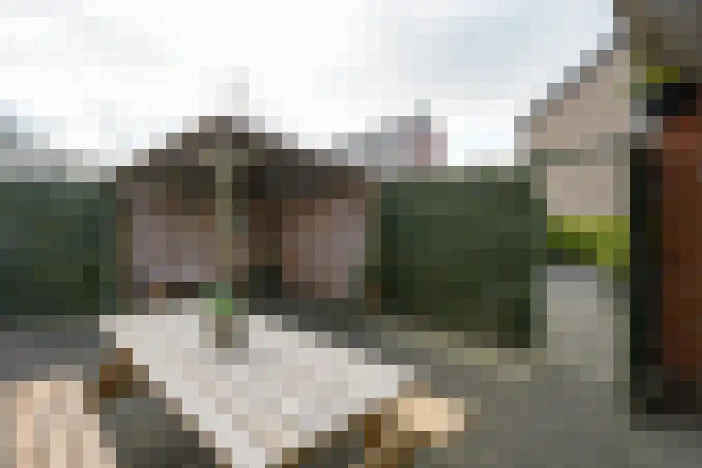 Zuiderdwarsvaart 122 Drachten thumbnail 36