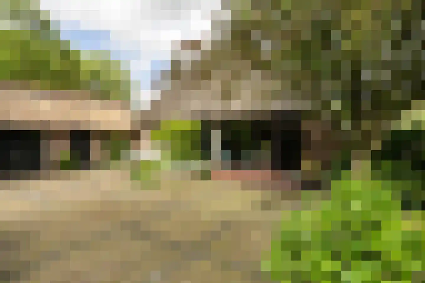 Zuiderdwarsvaart 134 Drachten thumbnail 64