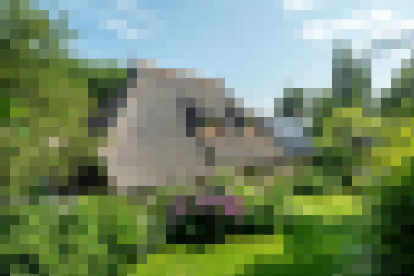 Zuiderdwarsvaart 134 Drachten thumbnail 83