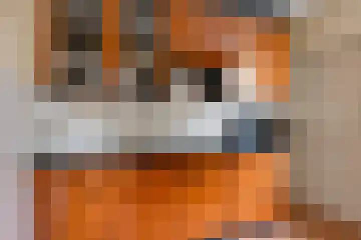 Zuiderdwarsvaart 23 Drachten thumbnail 6