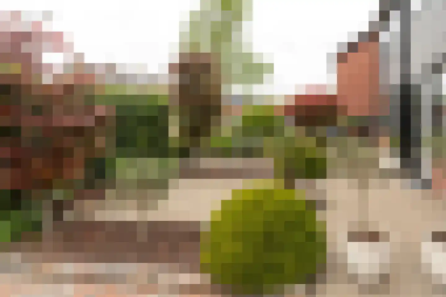 Zuiderdwarsvaart 47 Drachten thumbnail 37