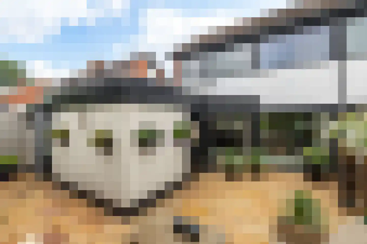 Zuiderdwarsvaart 47 Drachten thumbnail 62