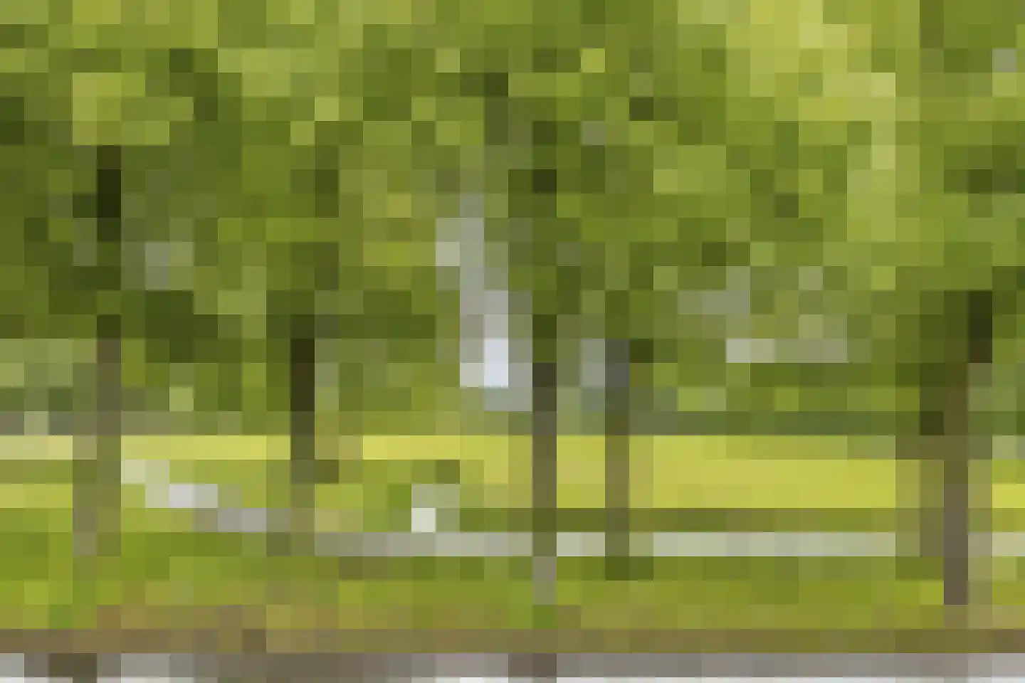 Zuidereinde 102 's-Graveland thumbnail 32