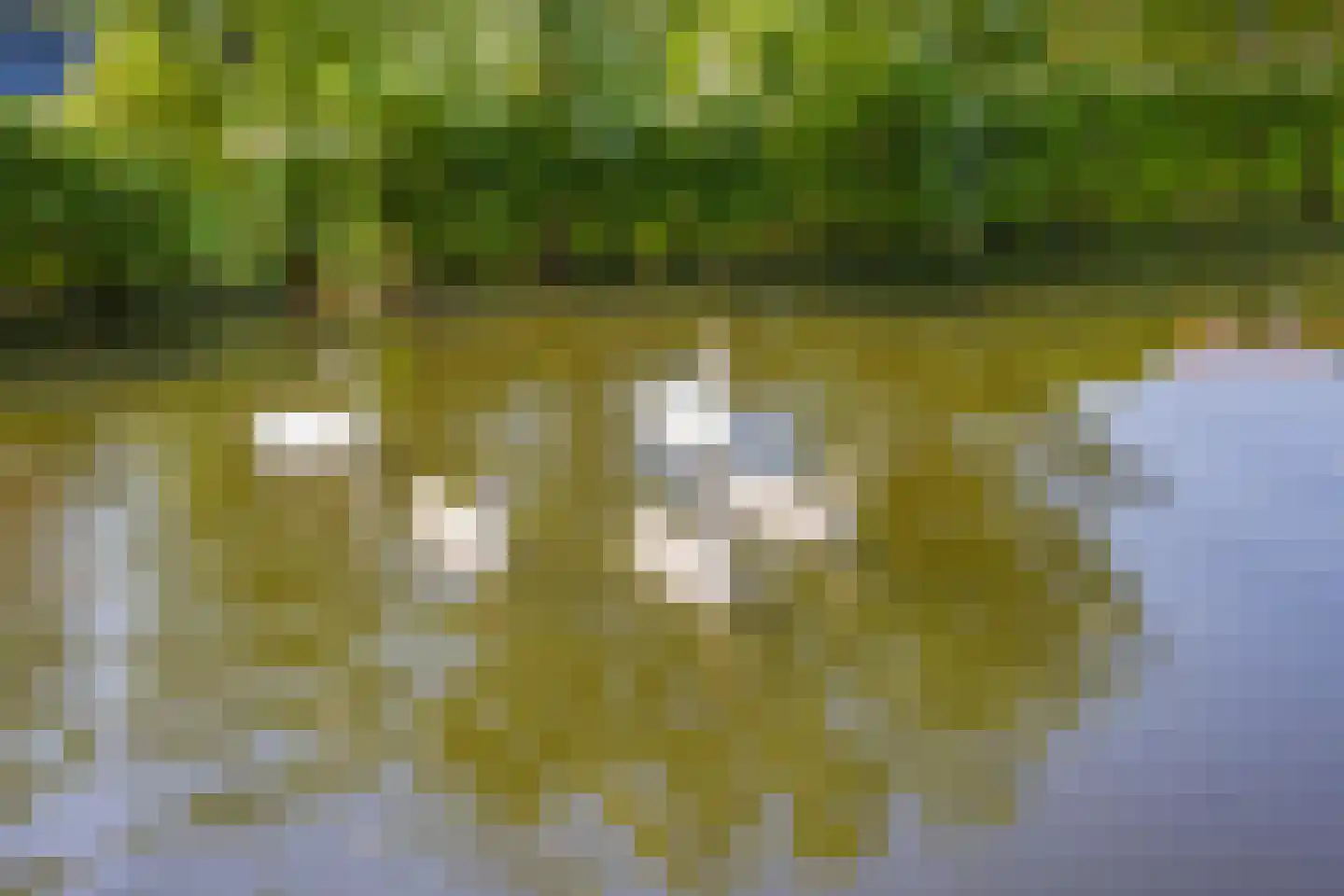 Zuidereinde 124 's-Graveland thumbnail 25