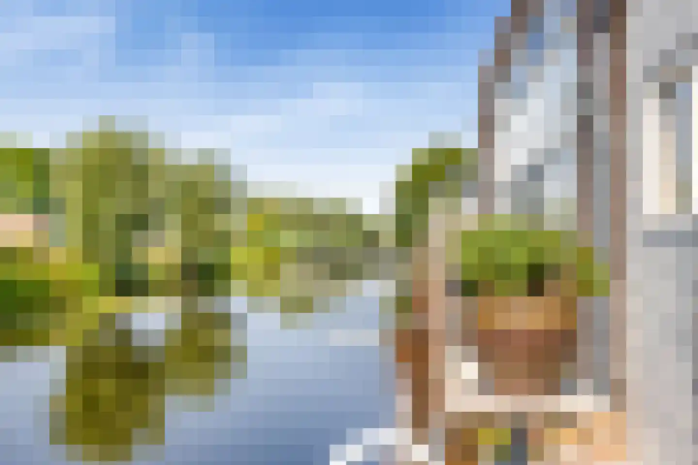 Zuidereinde 124 's-Graveland thumbnail 29