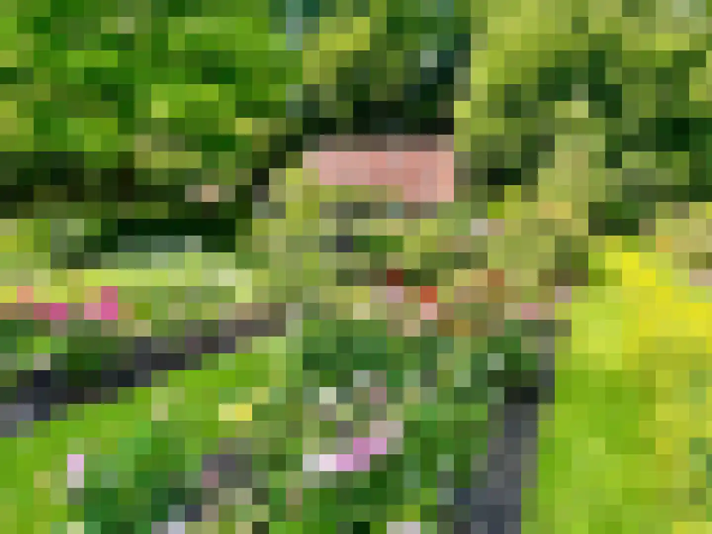 Zuidereinde 124 's-Graveland thumbnail 34