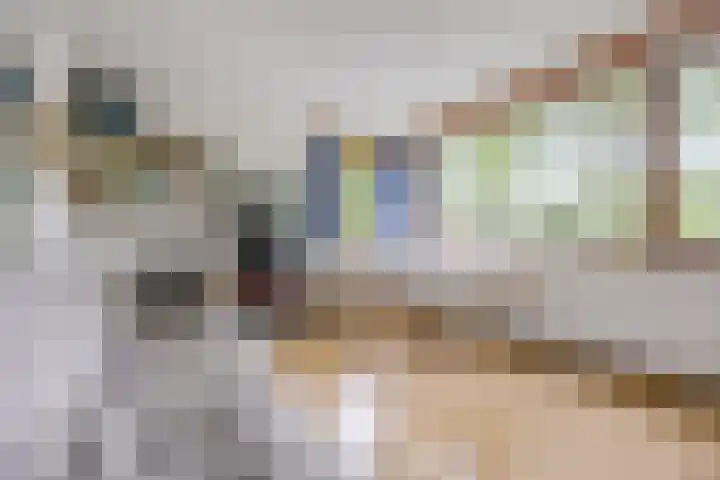 Zuidereinde 149 's-Graveland thumbnail 10