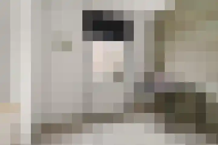Zuidereinde 149 's-Graveland thumbnail 36