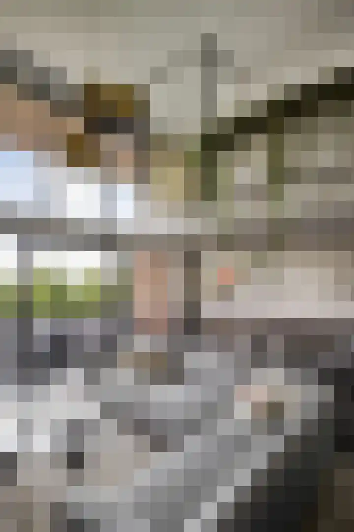 Zuidereinde 149 's-Graveland thumbnail 46