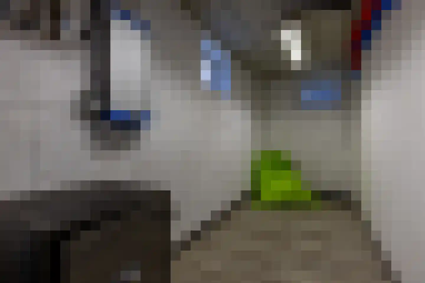 Zuidereinde 149 's-Graveland thumbnail 48