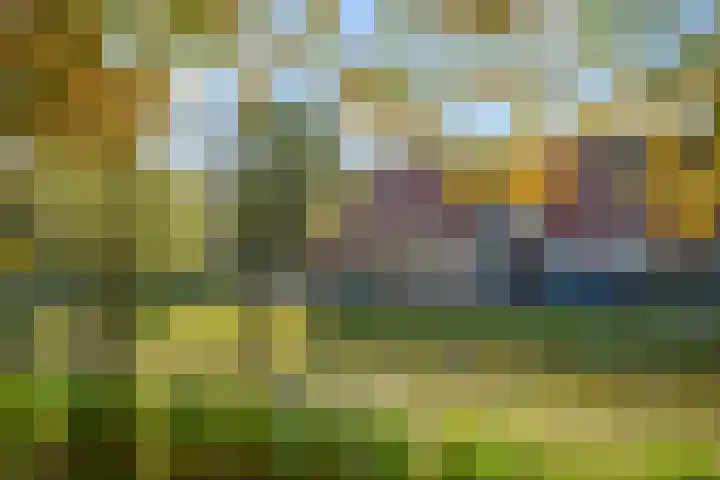 Zuidereinde 149 's-Graveland thumbnail 49