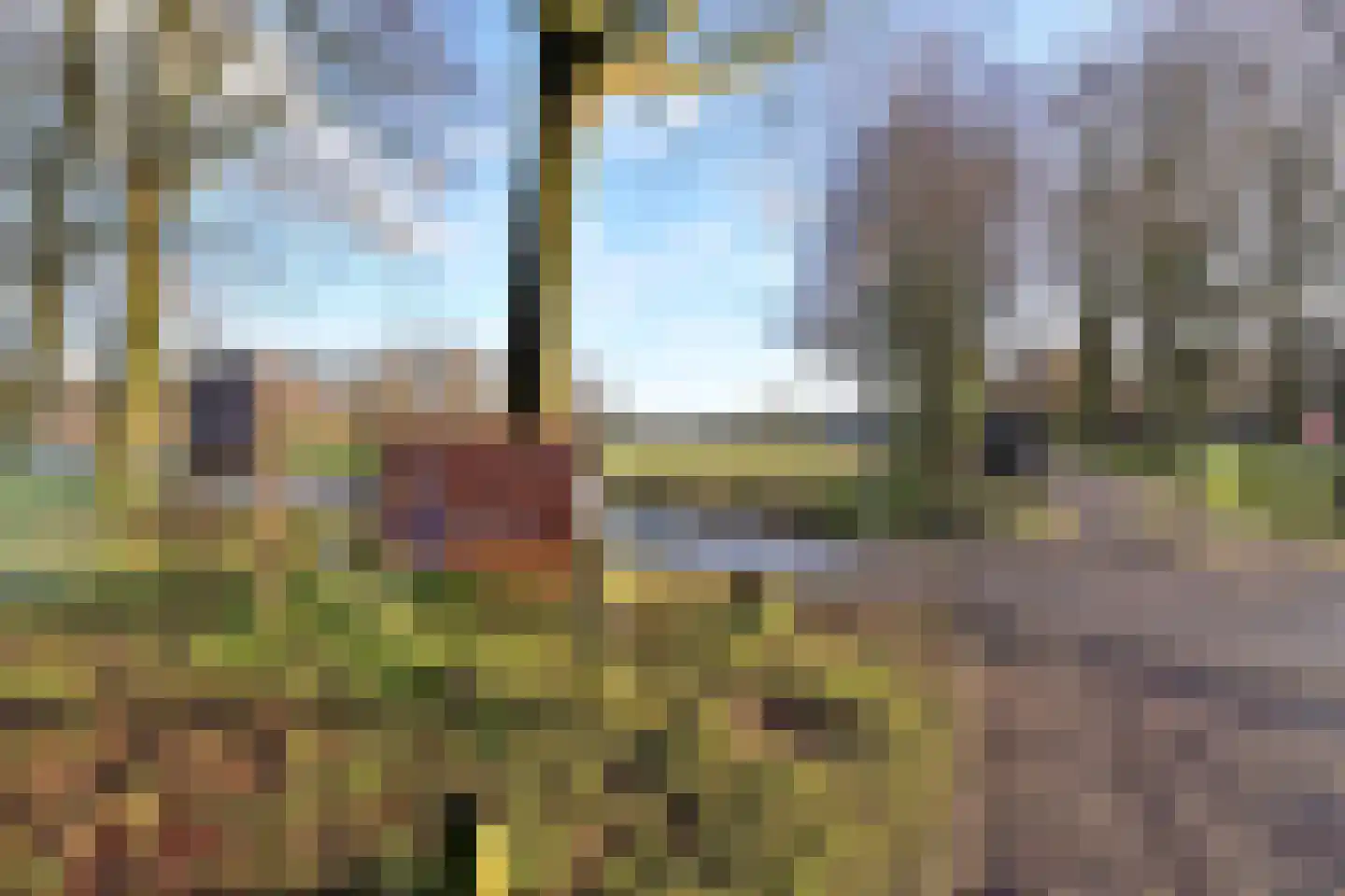 Zuidereinde 149 's-Graveland thumbnail 57