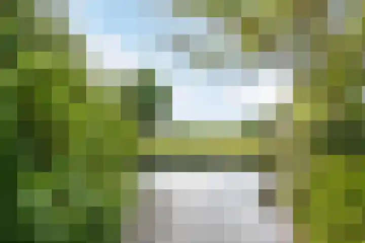 Zuidereinde 169 's-Graveland thumbnail 30