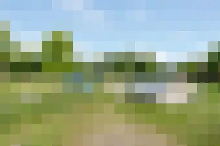 Zuidereinde 169 's-Graveland thumbnail 33