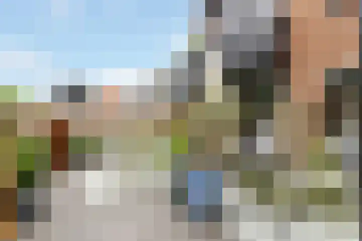 Zuidereinde 169 's-Graveland thumbnail 4