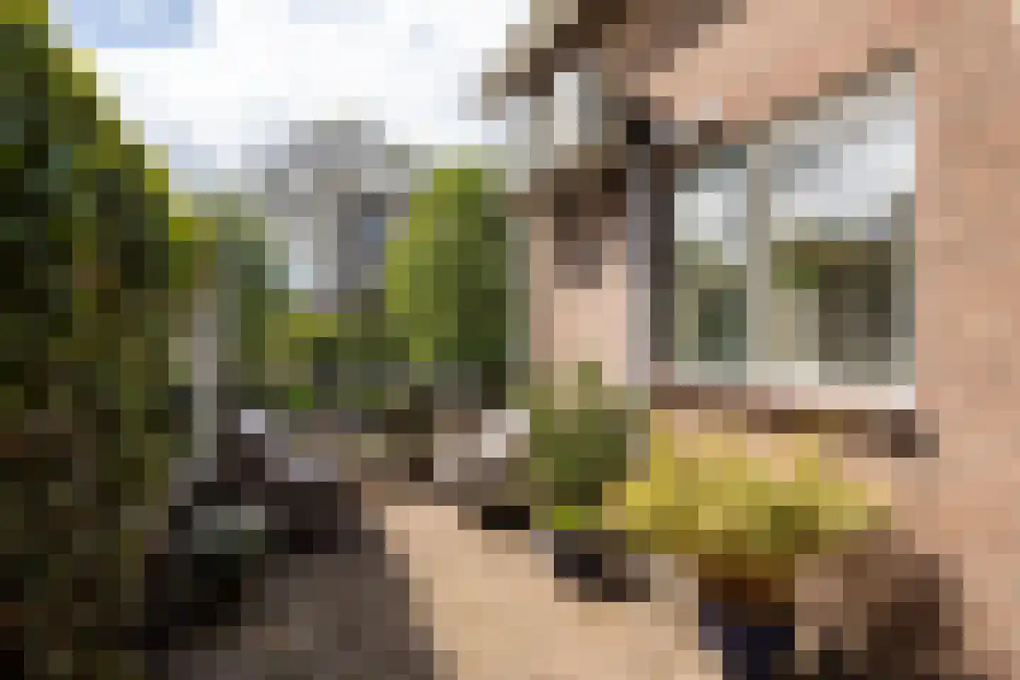 Zuidereinde 178 's-Graveland thumbnail 21