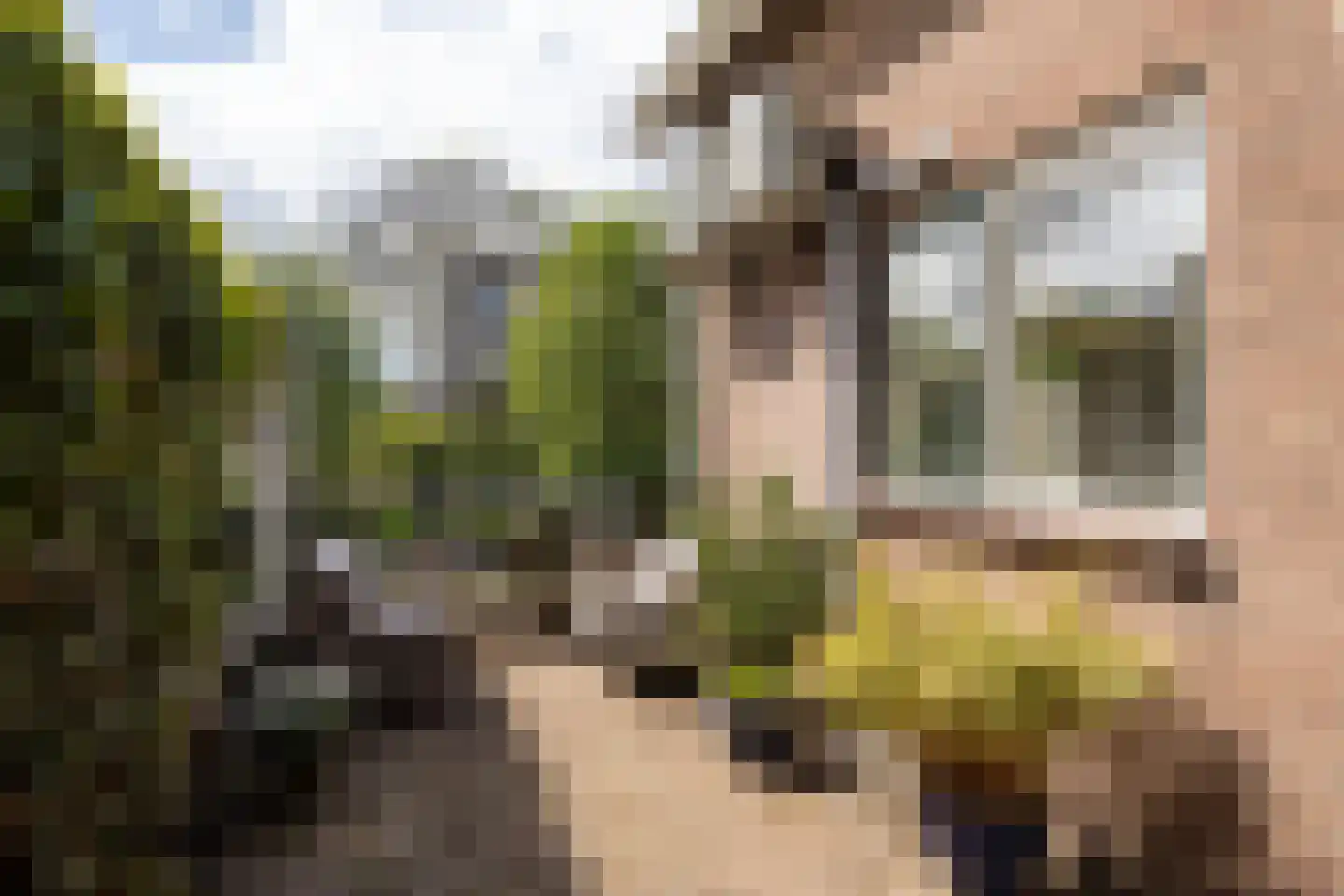 Zuidereinde 178 's-Graveland thumbnail 21
