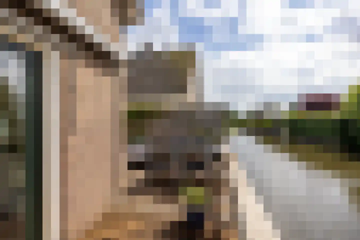Zuidereinde 178 's-Graveland thumbnail 23