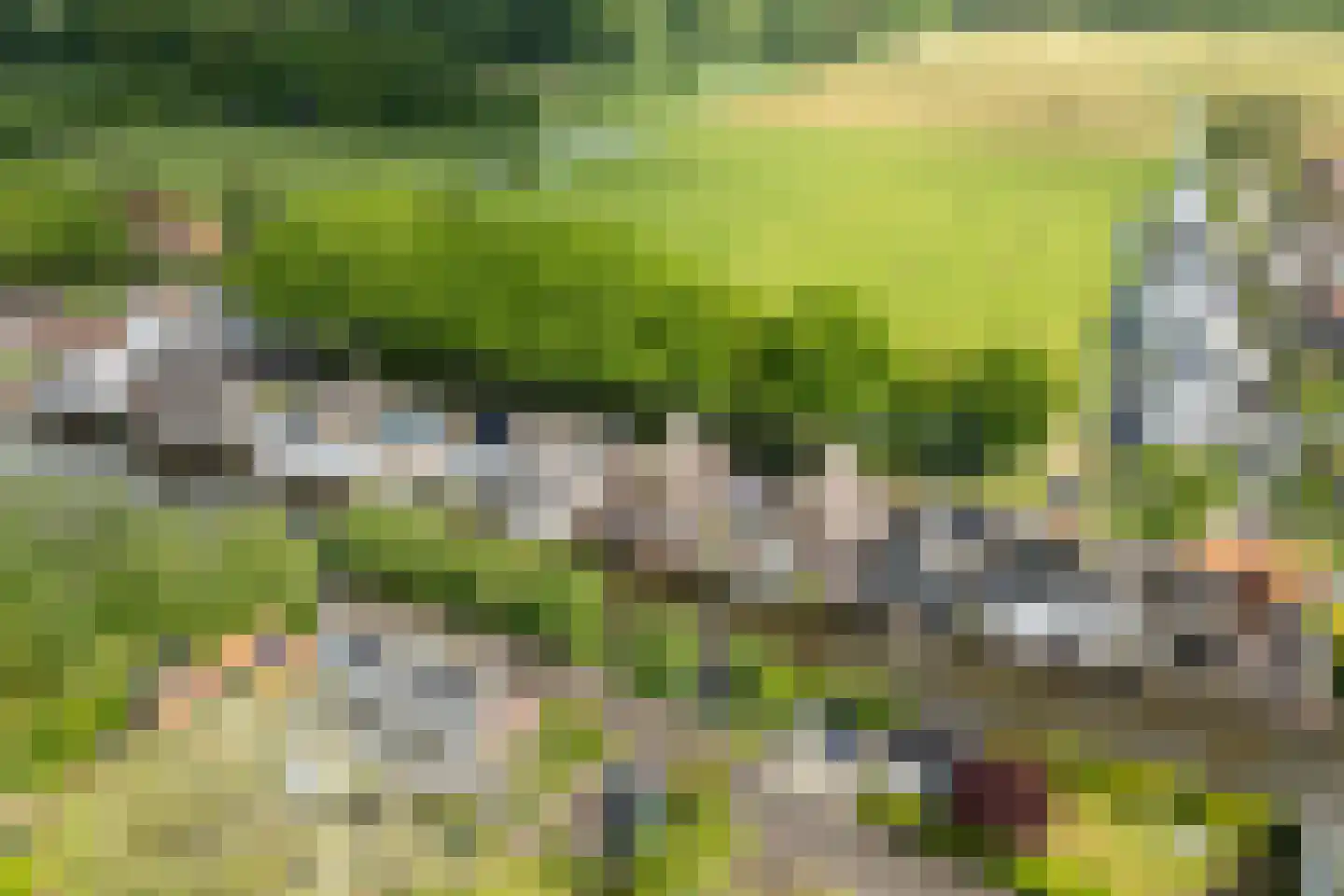 Zuidereinde 178 's-Graveland thumbnail 29