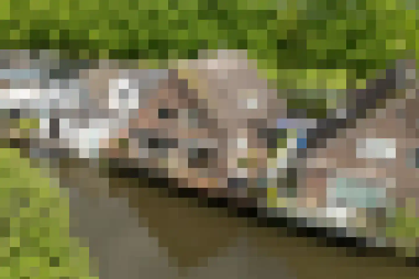 Zuidereinde 178 's-Graveland thumbnail 5
